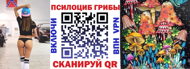 Псилоцибиновые грибы Psilocybine cubensis  купить закладку  Усть-Лабинск 